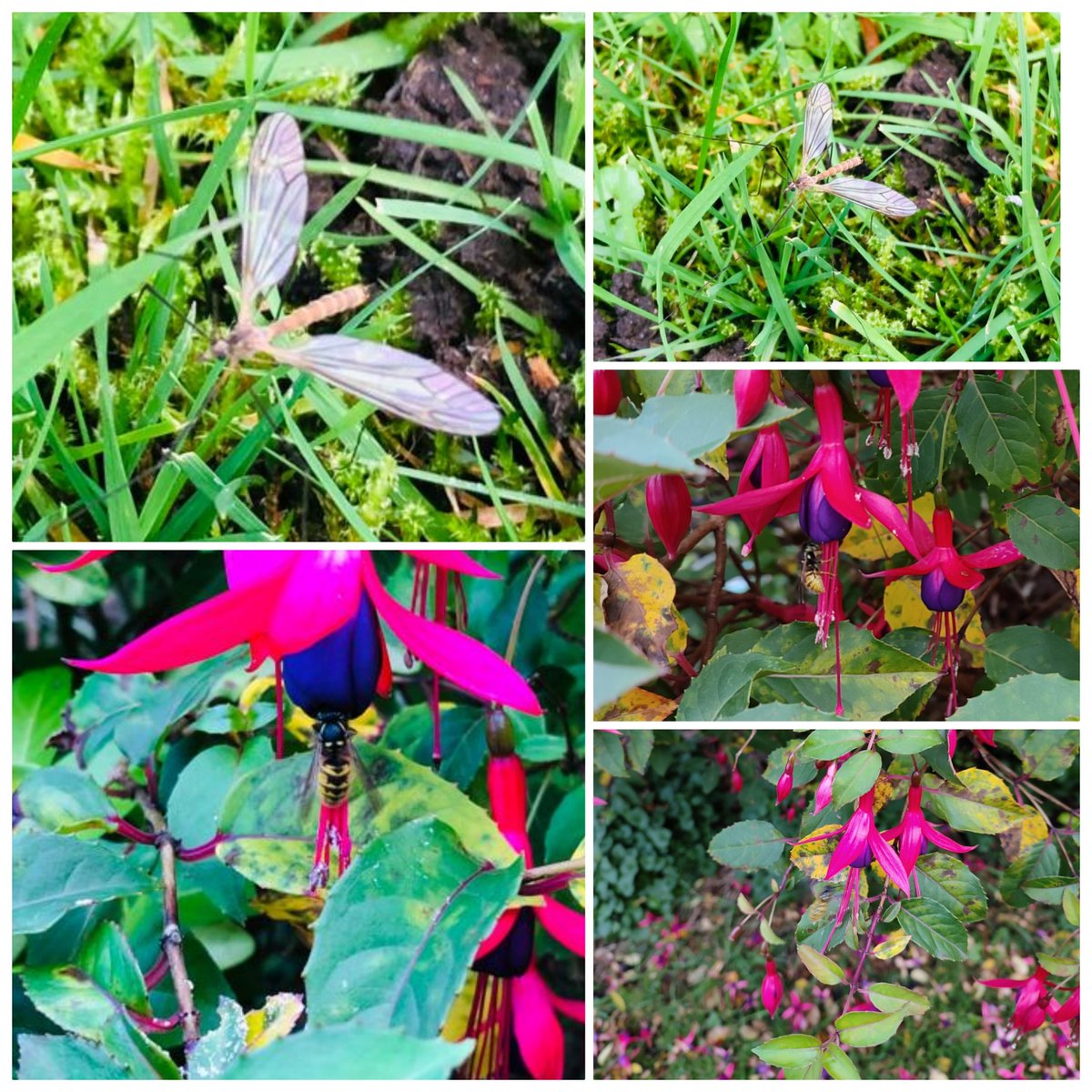 Geethu Sudheesh tweet media