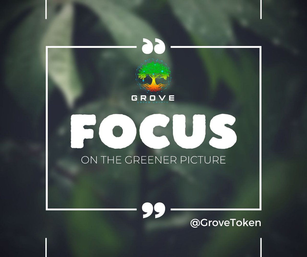 MACGROUP8's tweet photo. Our Foundation is being built
 🌳💚🧩🧩
Creating A Sustainable Future

#GroveBusiness bridging the Crypto World with Real World Utilities!
#GroveFarmingSolutions
#GroveGlobal #GroveSwap
#GroveKeeper #GroveMeta
Invest with confidence 
https://t.co/yl38oikzkn https://t.co/QOq3wG7cuJ