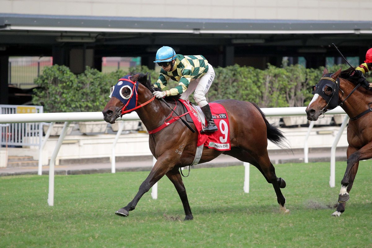 Rewarding Together Adds To Excellent Happy Valley Record HKracing rewarding-together-adds-to-excellent-happy-valley-record-hkracing