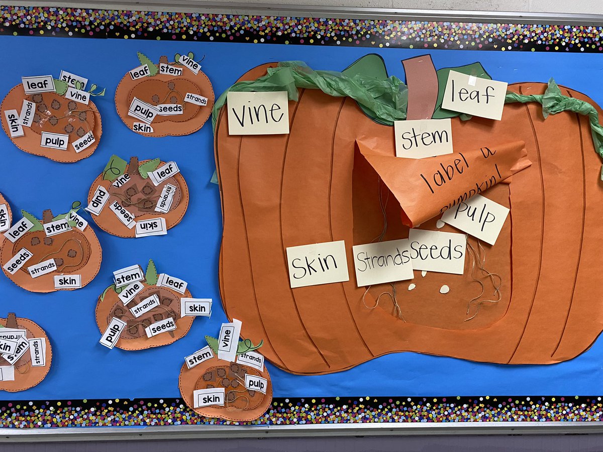 Wrapped up our pumpkin unit with our dissection. Seeing parts of a pumpkin in real life! These smiles are my why.