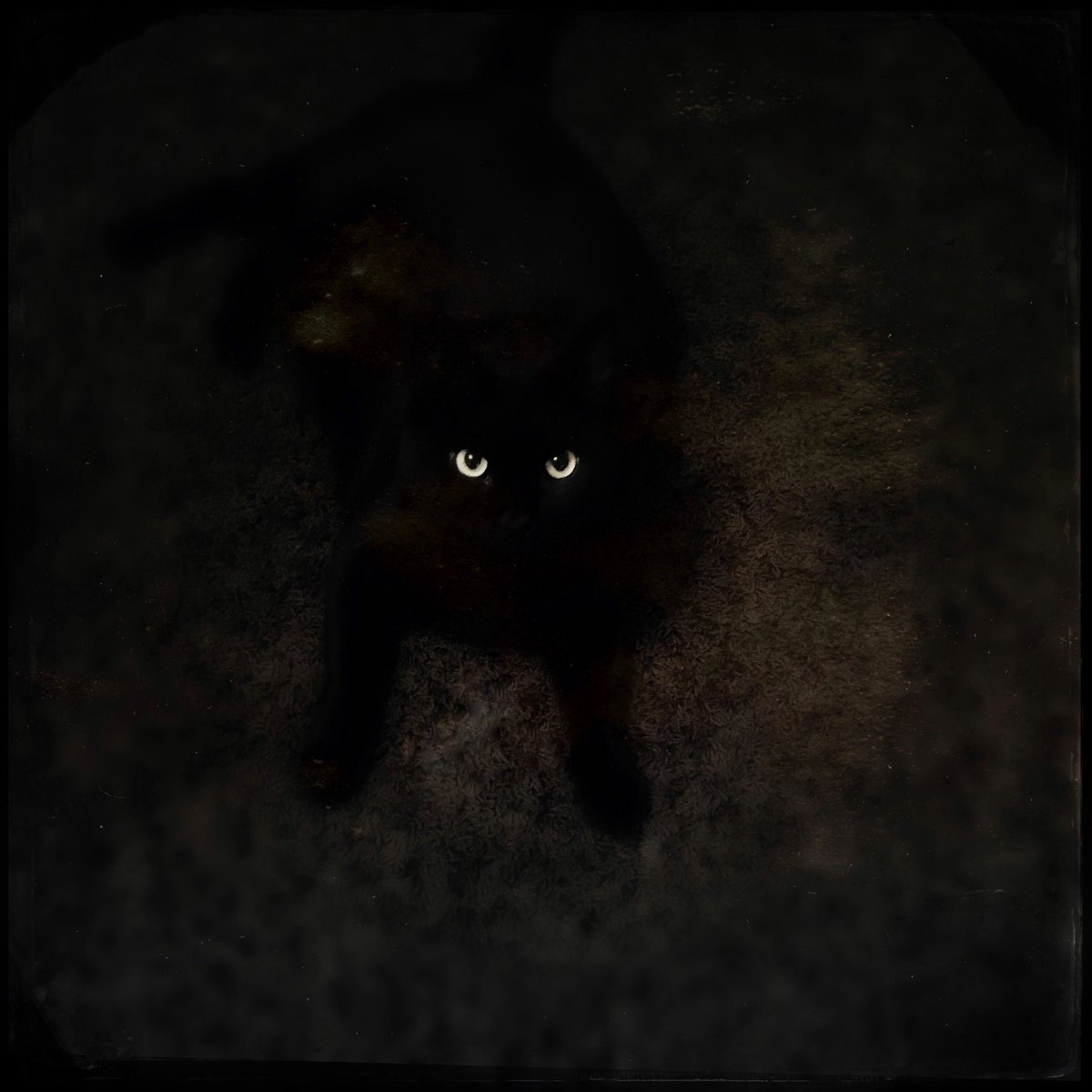 Intao tweet media