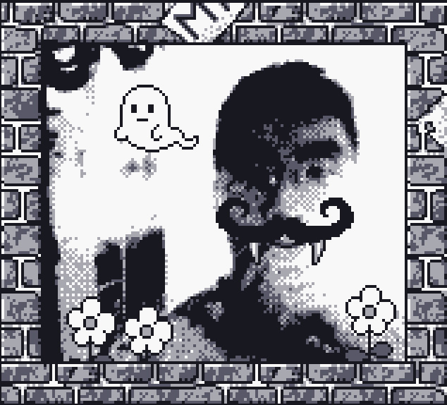found out today that you can emulate the game boy camera on a 3ds!! will definitely use this for a future project 