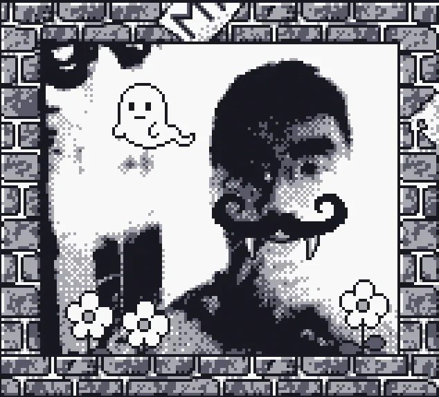 found out today that you can emulate the game boy camera on a 3ds!! will definitely use this for a future project 