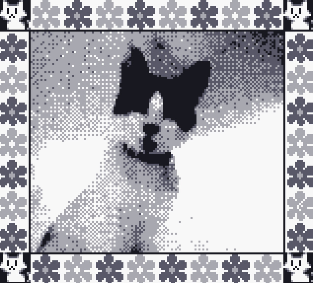 found out today that you can emulate the game boy camera on a 3ds!! will definitely use this for a future project 
