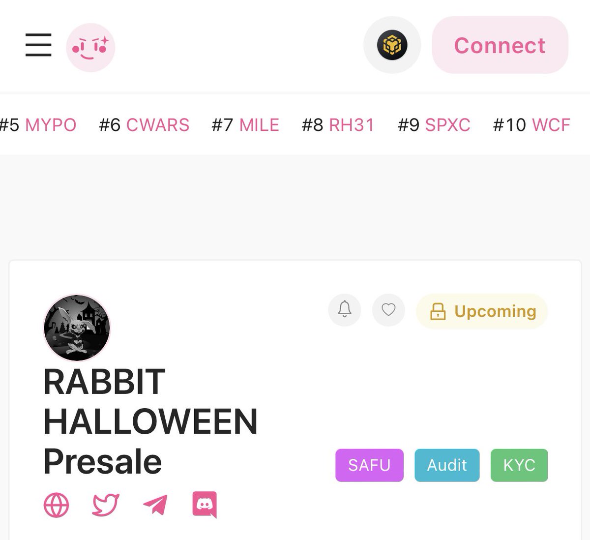 Rabbit Halloween tweet media