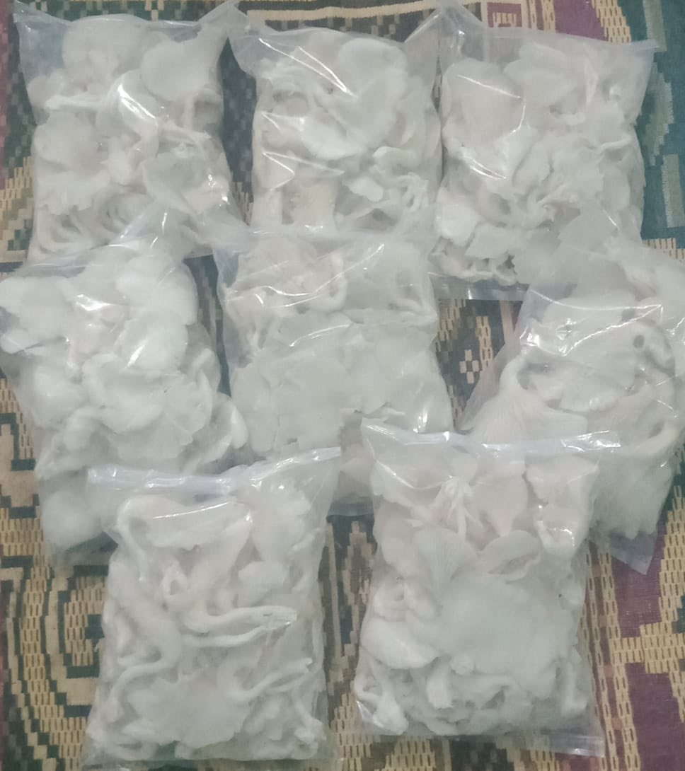 Saket Badola tweet media