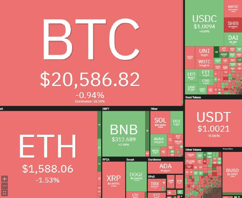 Danchoi Shitcoin tweet media