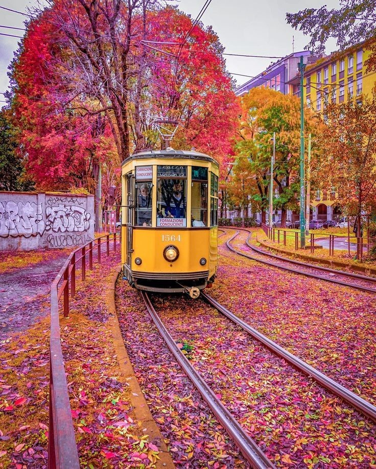 Good Morning
Happy New Week

Italy 🌸