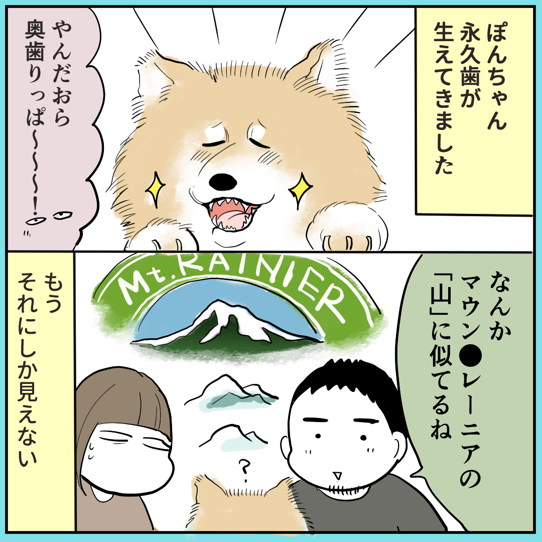 秋田犬にっきまとめ⑤です!永久歯が生えてきました。あとお芋とかぼちゃ好きなのわかりみしかない～～ #秋田犬 #漫画が読めるハッシュタグ 