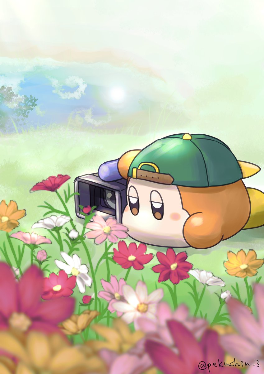 kirby backwards hat flower hat baseball cap no humans twitter username grass  illustration images