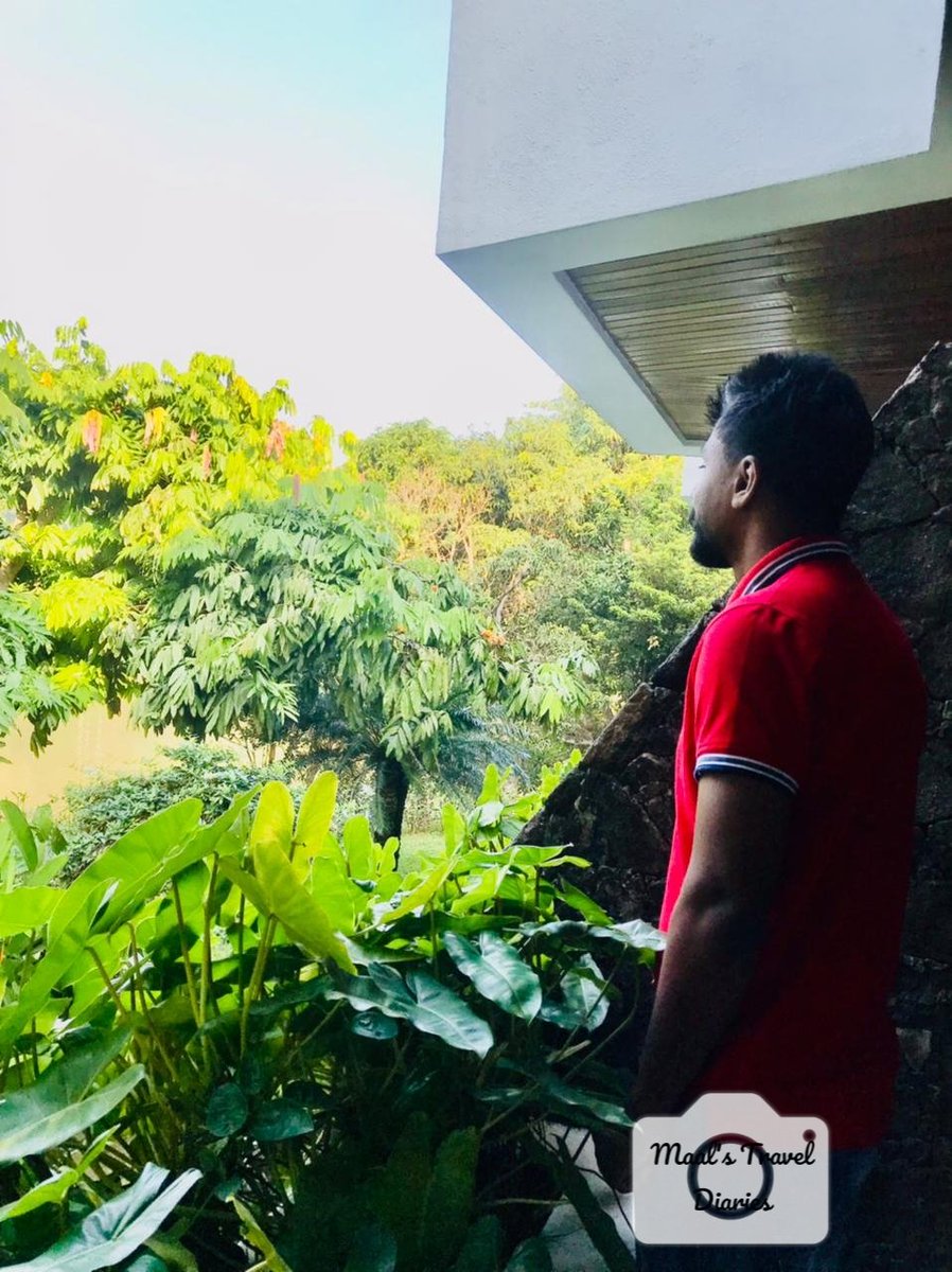 MaalsDiaries's tweet photo. @cinnamoncitadel with 💜️ https://t.co/oAmDzVpLu6