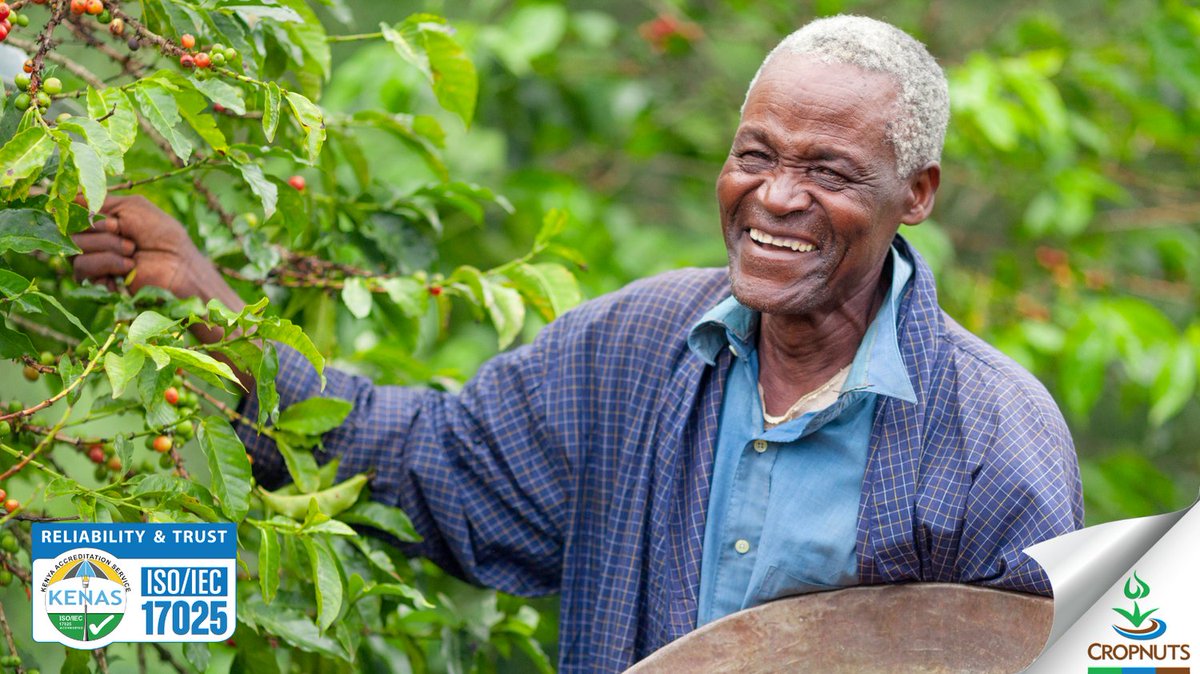 At Cropnuts we’re committed to scaling up Yield Enhancing Services (YES!) services such as soil testing, farmer agronomy training &amp; extension services to small-scale farmers in East, West &amp; Southern Africa to improve their productivity and incomes.