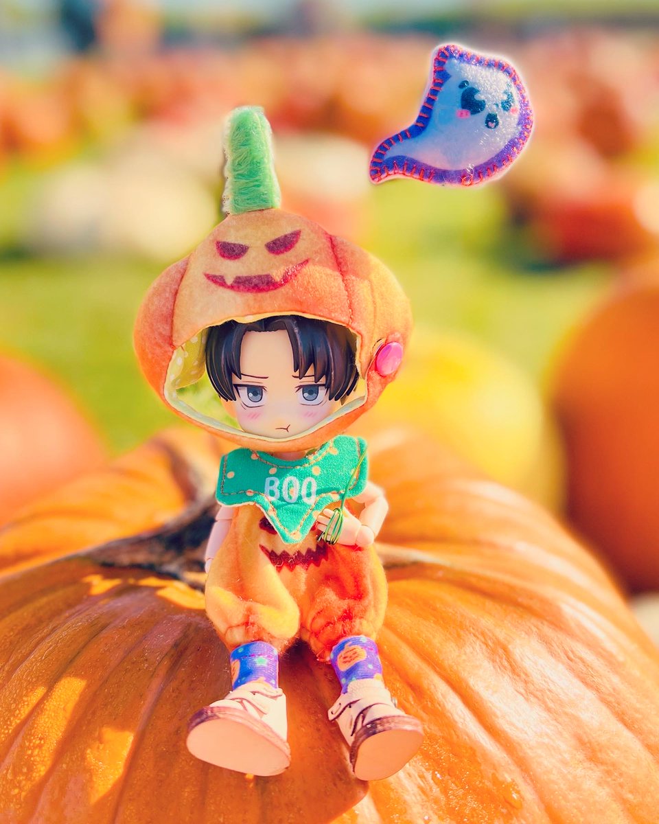 wikiwicked82's tweet photo. Pumpkin Patch Day!🎃

#eruri #leviackerman #erwinsmith #Nendoroid #Erurifluffmonth #เอรุริ #エルリ @erurifluffmonth https://t.co/EbpenCg4YR