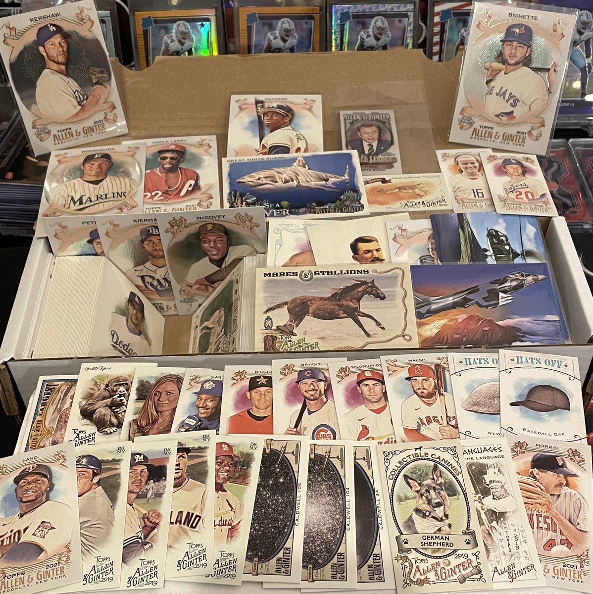 wileycollects's tweet photo. Allen &amp; Ginter Massive Lot - 475 Cards (appx) with Minis - $55 shipped!

*** .10 cents a card plus shipping ***

@CardboardEchoes @sports_sell @ILOVECOLLECTIN1 @HobbyRetweet_ @HiveRetweets #allenandginter #toppsag #mlbcards #baseballcards https://t.co/rQnnCrzVCt