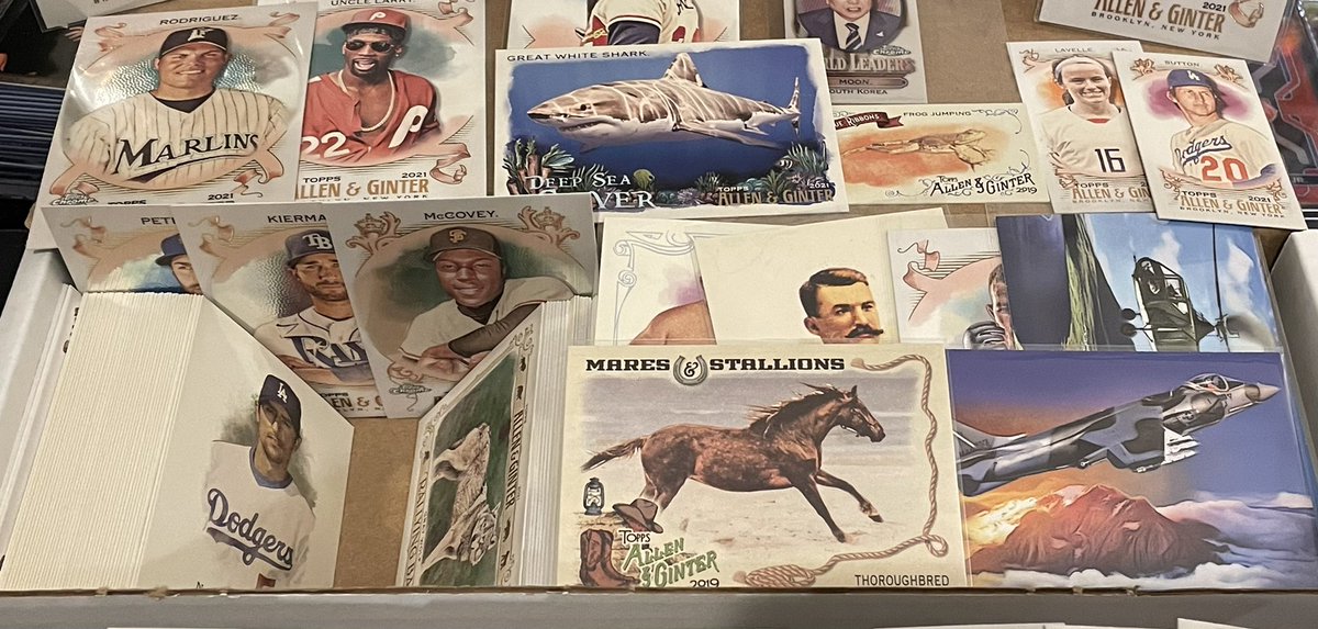 wileycollects's tweet photo. Allen &amp; Ginter Massive Lot - 475 Cards (appx) with Minis - $55 shipped!

*** .10 cents a card plus shipping ***

@CardboardEchoes @sports_sell @ILOVECOLLECTIN1 @HobbyRetweet_ @HiveRetweets #allenandginter #toppsag #mlbcards #baseballcards https://t.co/rQnnCrzVCt