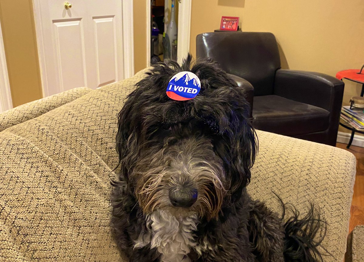brianwusa's tweet photo. My Mom & Dad voted tonight ! #GoEvan 🎉 https://t.co/vktu41g1ja