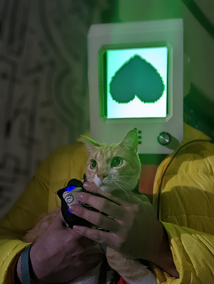 LGBT_Bill's tweet photo. Here's my Razinput Halloween costume this year starring our leash-trained cat Ed! 😺 💖 🤖 My partner and I love your game @HKdevblog @A_i ! https://t.co/YeYr2205Cg
