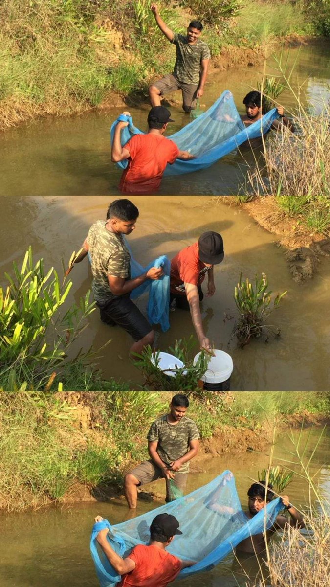 Mack_santo's tweet image. Sampling for Macrobrachium and a  few fish species with @thoughtonsongs and Shreyas in Mangalore. 

#samplingtime #fishing #specimens #macrobrachium