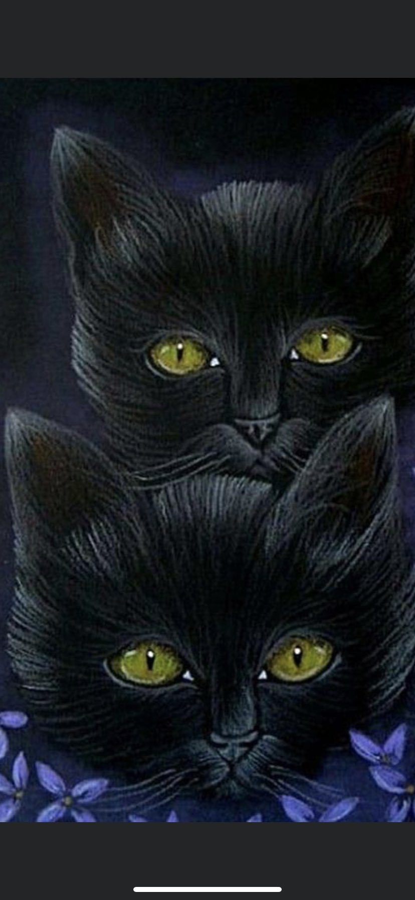 Черная кошка арт