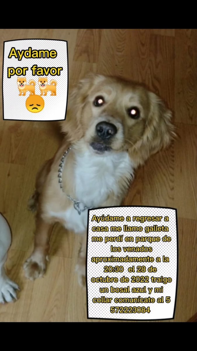 Marchaxanimales's tweet photo. S.O.S. Acaba de perderse en el parque de los venados, su familia la busca RT por favor https://t.co/t40qX7ga5o