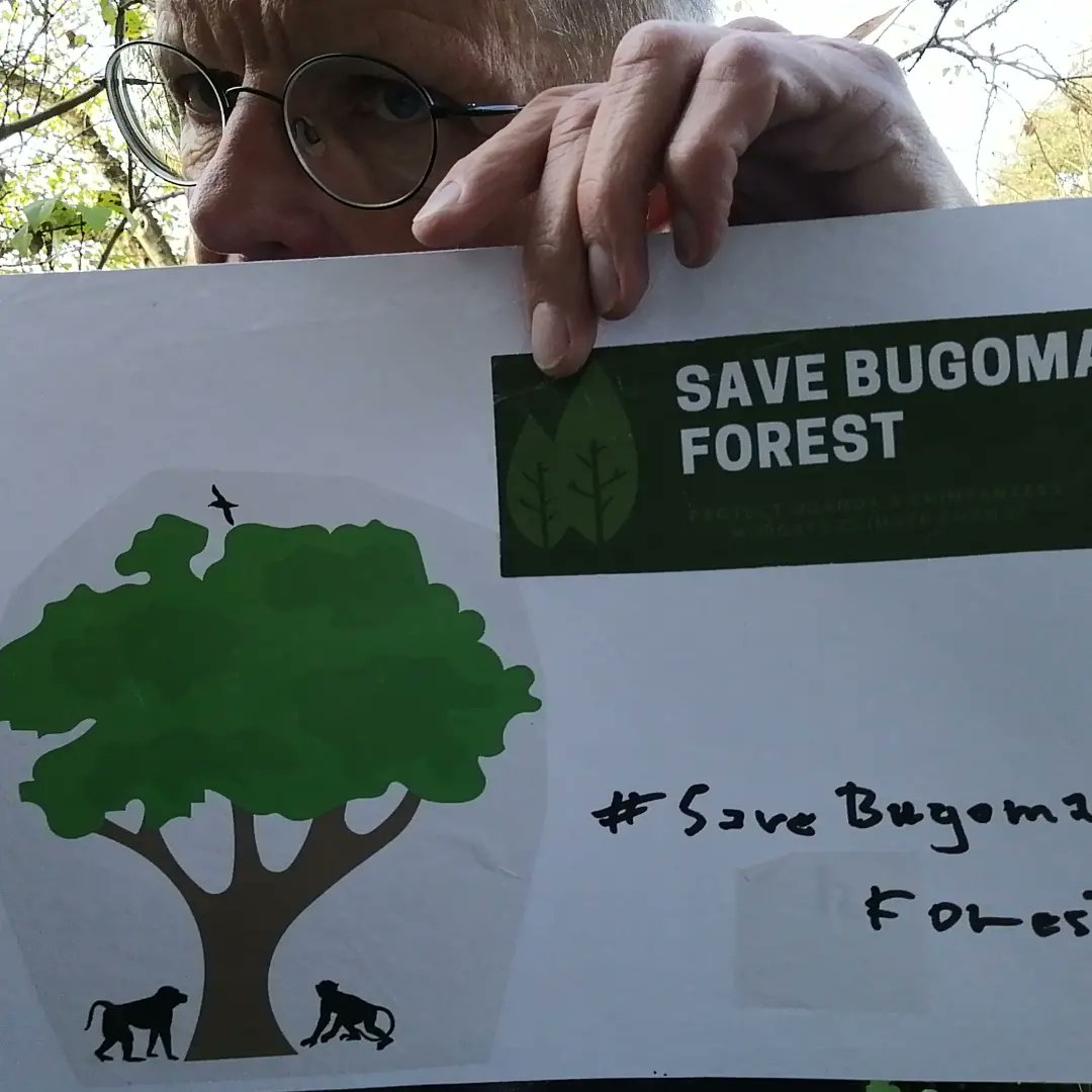endelstamberg's tweet image. I am Endel Stamberg, a climate activist from Germany. Uganda forest cover has depleted to 8%. And one of the forest in Uganda has been sold for agribusiness.  I’m calling upon activists around the world to add their voices on mine and #SaveBugomaForest! 
@KaoHua3
@Greenpeace