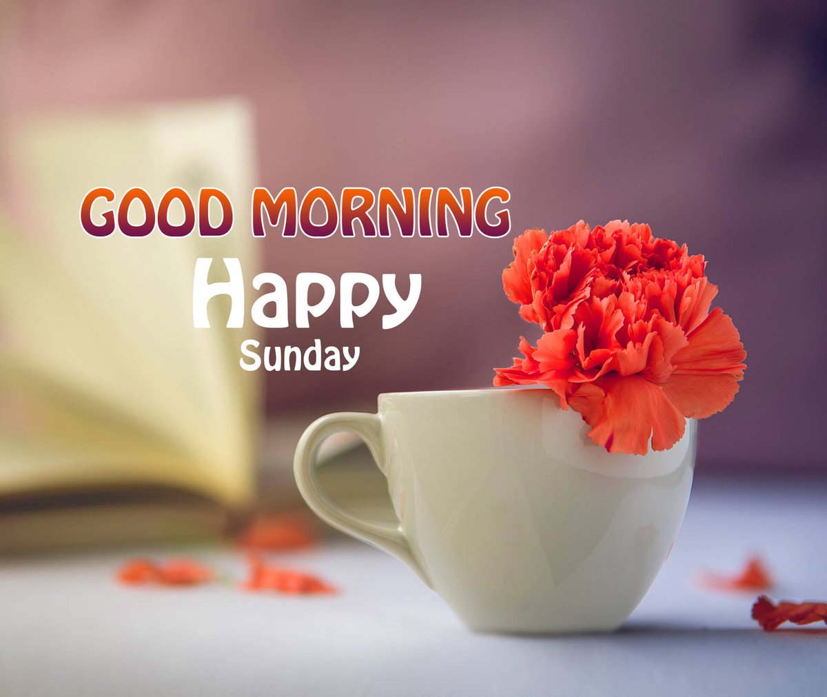 DIL58400630's tweet photo. @Mahiras09962933 Hi https://t.co/sf3BFNCinx