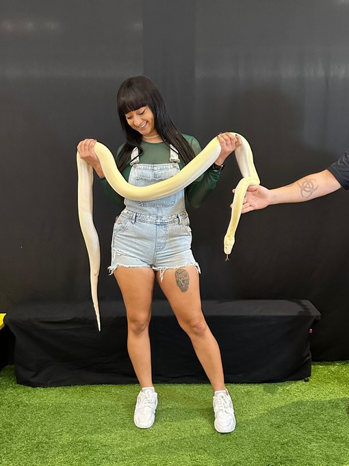 charming_snake_