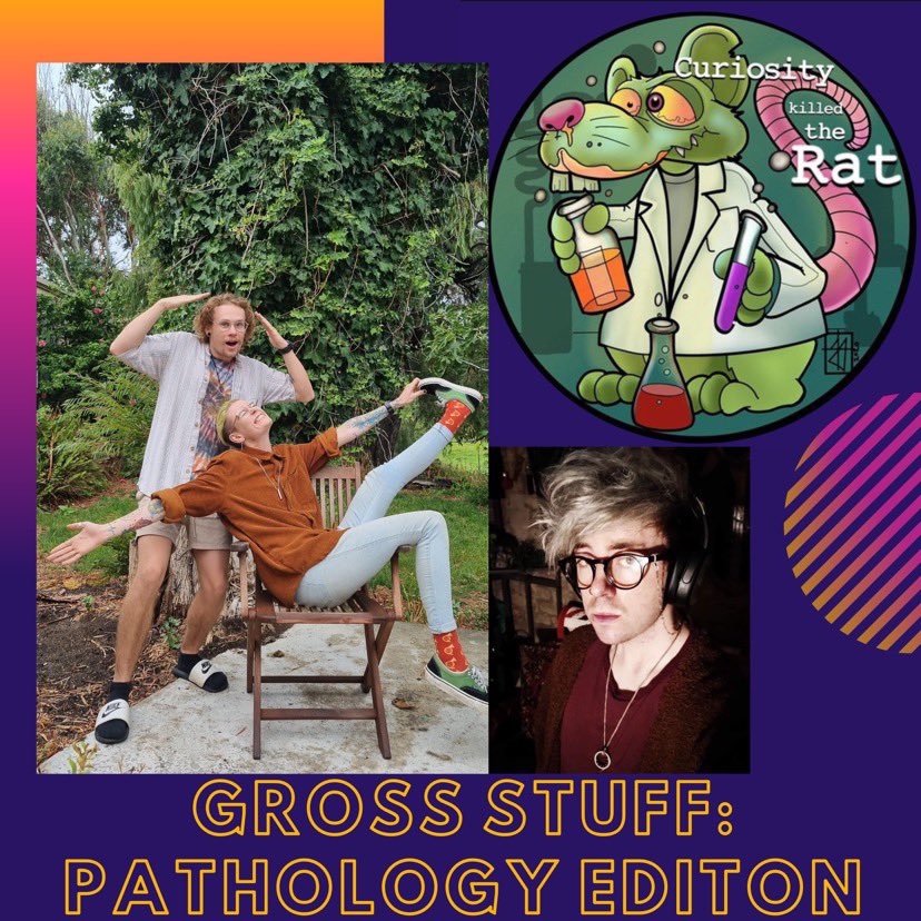 Curiosity Killed The Rat tweet media