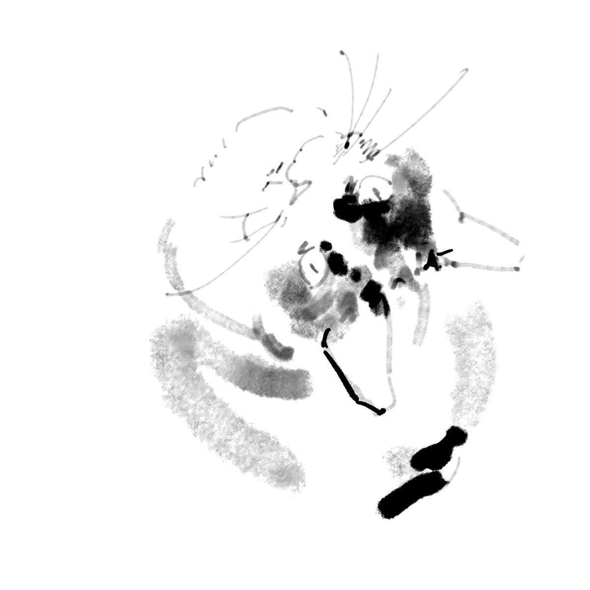 <a href="/maru_maro_boo/">そら ฅラグドールฅ</a>