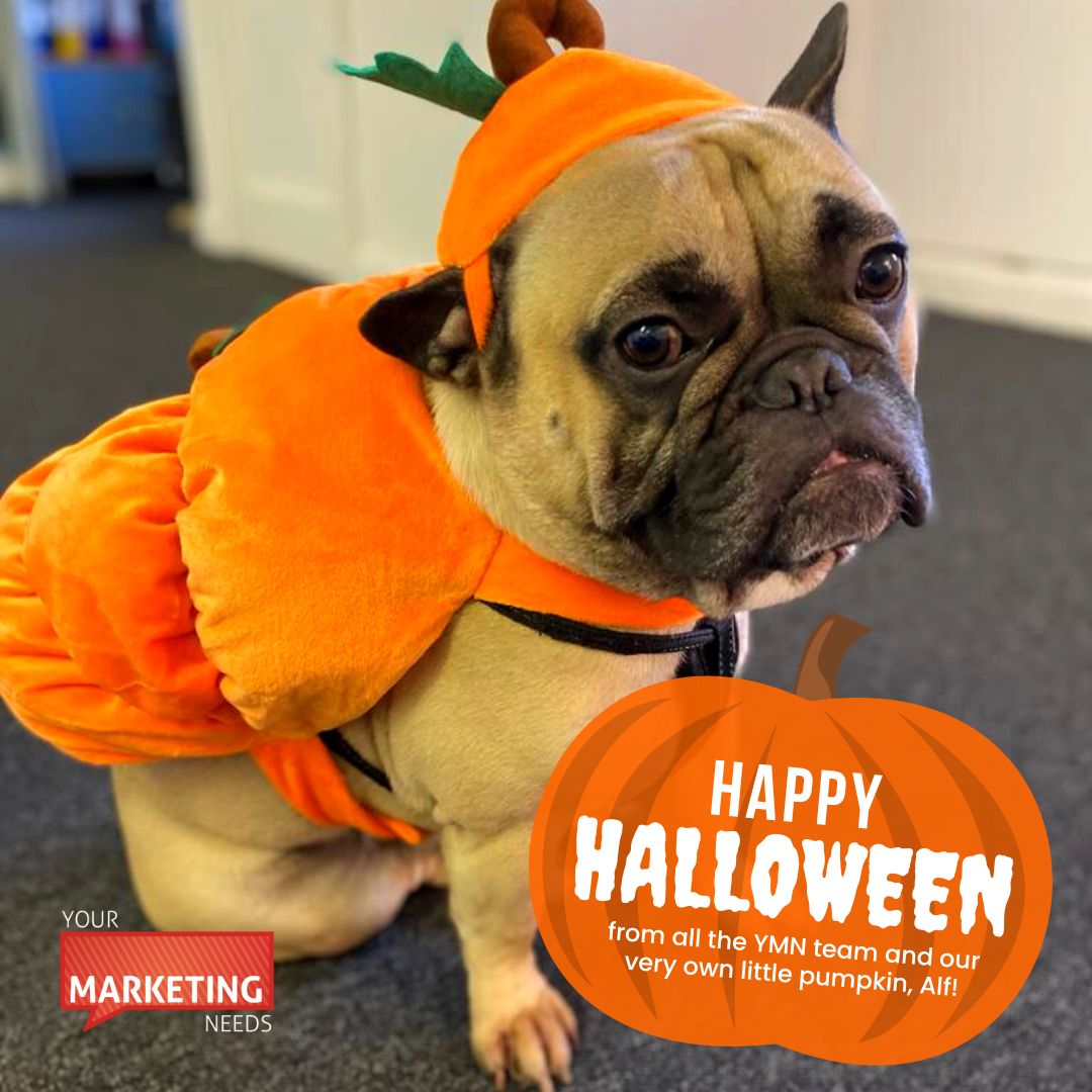 Your Marketing Needs tweet media