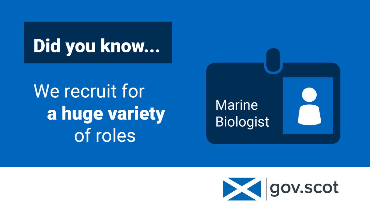 scotgovjobs's tweet photo. Did you know…
We recruit for a huge variety of roles from Data Analysts to Marine Biologists.
Check out our current vacancies here: https://t.co/3MKdWlUZQ1
#workforscotland #jobs #excitingcareers https://t.co/T91DSu5mrw