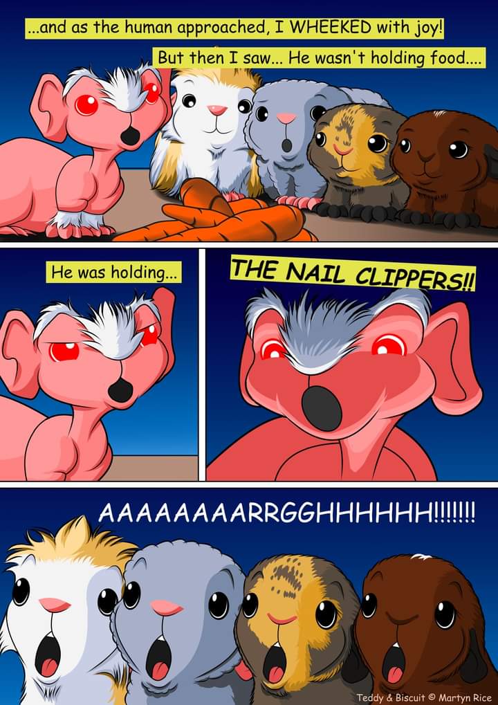 TeddyAndBiscuit's tweet photo. @ashmillman a truly horrifying Halloween horror story, this! https://t.co/QrQJfiVAu6