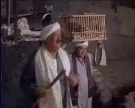 Mohamed Mansour 🇦🇹🇦🇹🇦🇹 tweet media