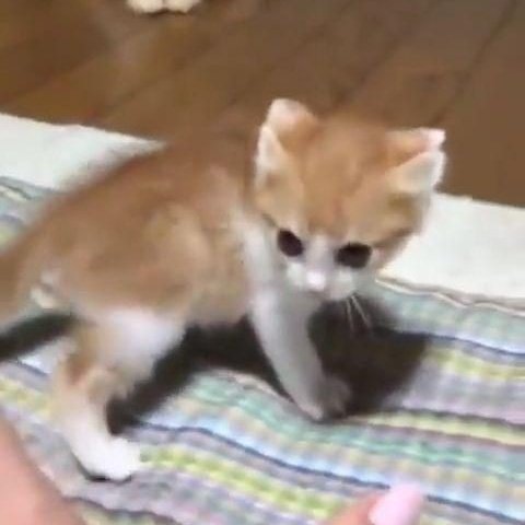 MustopaMus20's tweet image. #FotoProfilBaru