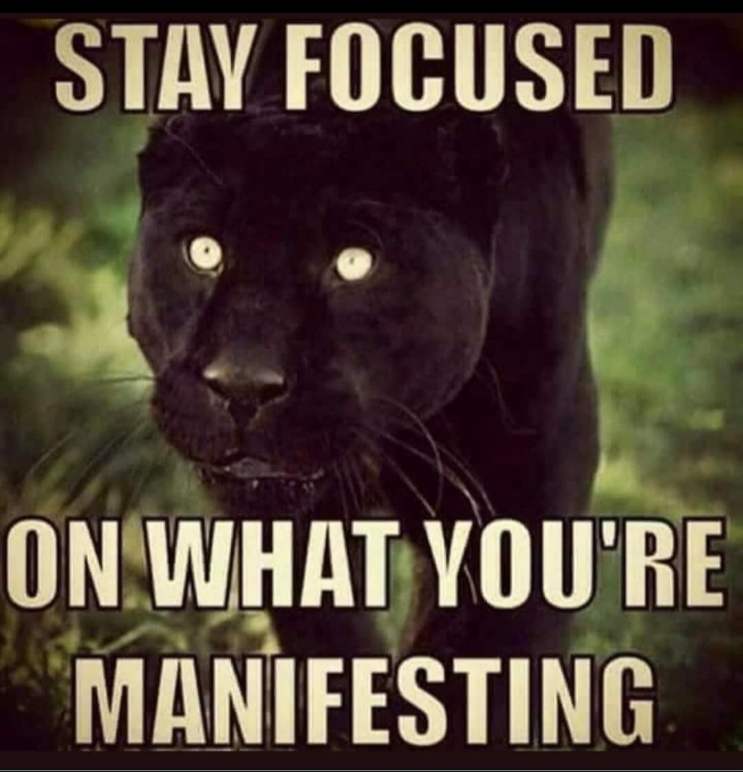 TUKUHL's tweet photo. #WowApp is  #FREE to join and unique #community that allows you to #Earn 💰 and #DoGood. 
Click link below:💯🏁✊🏾💨💨
https://t.co/pCDWXBefaw
☝🏾☝🏾☝🏾☝🏾☝🏾☝🏾☝🏾☝🏾☝🏾☝🏾
#อิแทวอน #INDvsSA #PakistanCricket #지구에서년지성아_환영해 #Halloween #LulaPresidente2022 #السيسي #Ukraine #Manifest https://t.co/ryO065oN0f