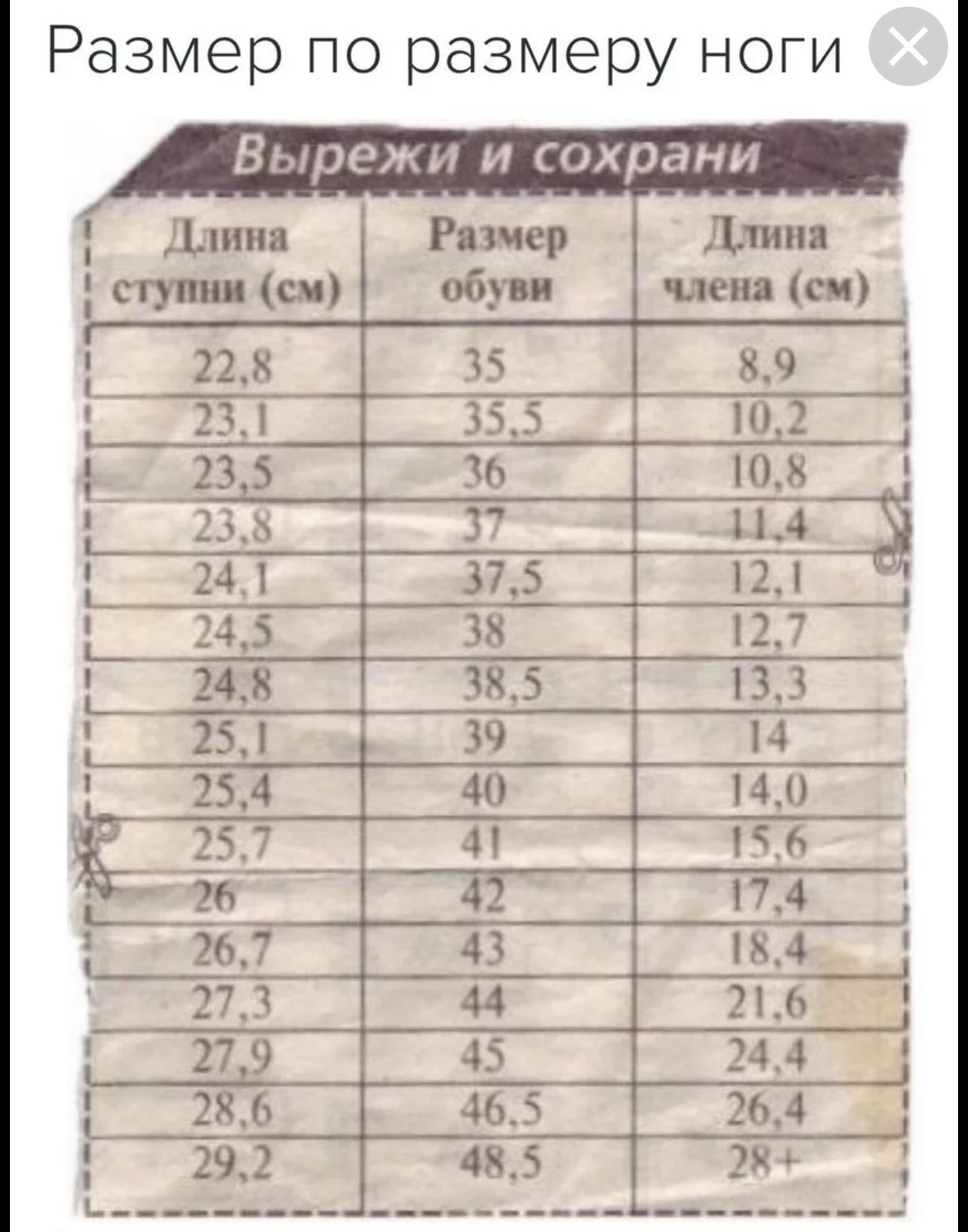 Размер ступни и размер члена таблица