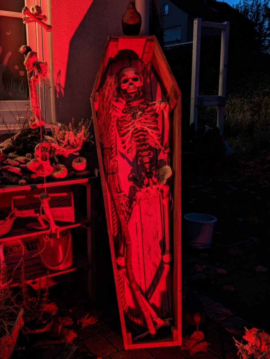 GuidoBen's tweet photo. #TRICK_OR_TREAT https://t.co/Y2vyha1zDG