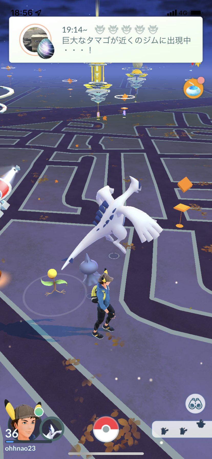 ファンキー Pa Twitter 今のポケモンgoマップに ルギアでんの ってなって捕まえたらゾロアやって アッ ってなった T Co Qtsaxnaghk Twitter