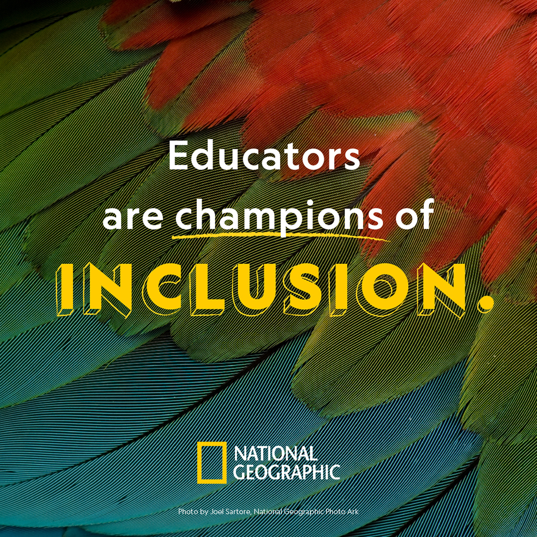 How do you champion inclusion in your teaching practice?