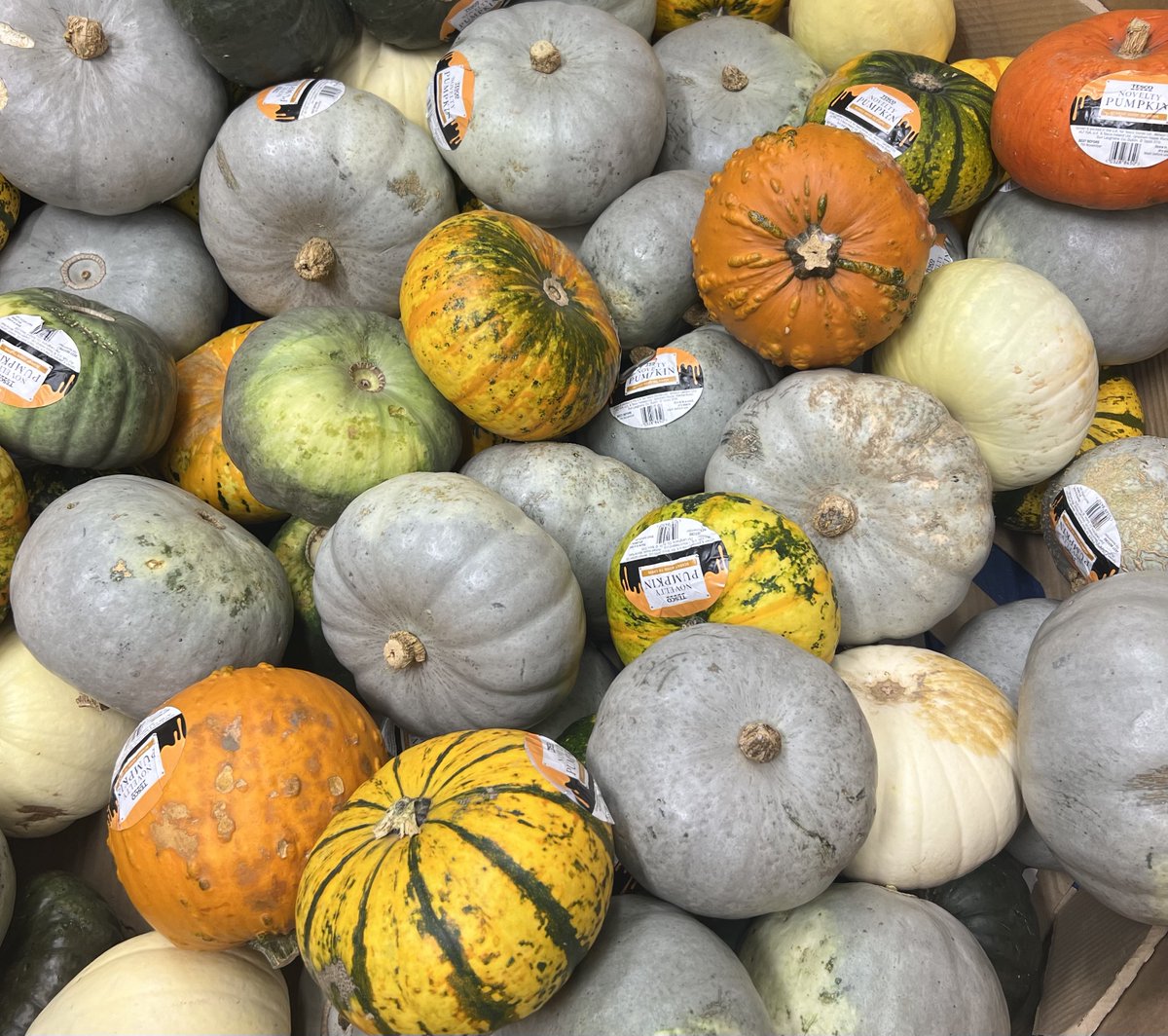 WhiskyFdn's tweet photo. 👻 You might know the poem ‘Halloween’ by Robert Burns, in it he describes people pulling stalks from the ground after dark with their eyes closed. This was a #Gaelic tradition to predict one’s romantic future. ❣️✨ What #Halloween traditions do you like to get involved in? https://t.co/NPoT2txQJS