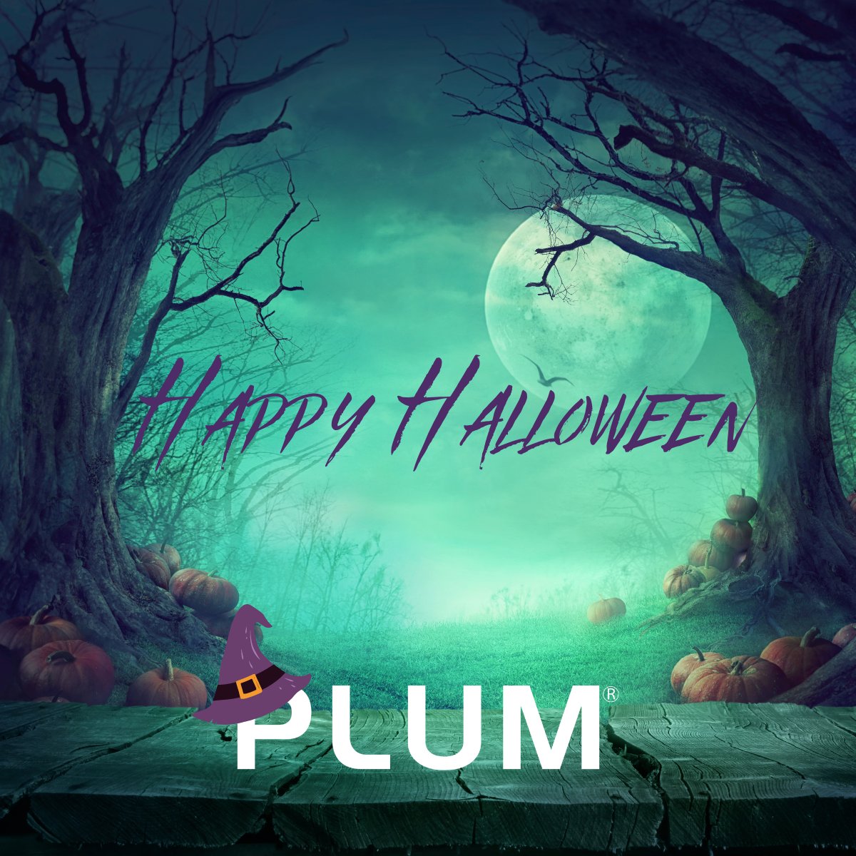 PlumLending's tweet photo. Have a Spooktacular Halloween! https://t.co/ecC6FTxfKl