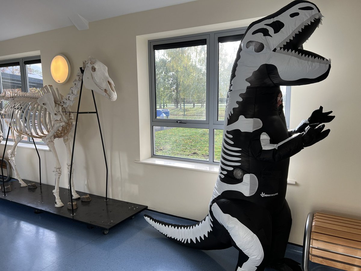 Dr Emma Drinkall tweet media