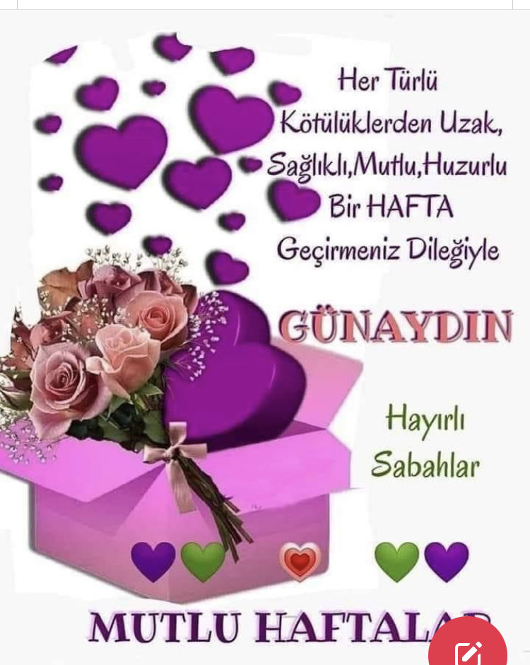 nevcihan altay (@nevcihanaltay) on Twitter photo 