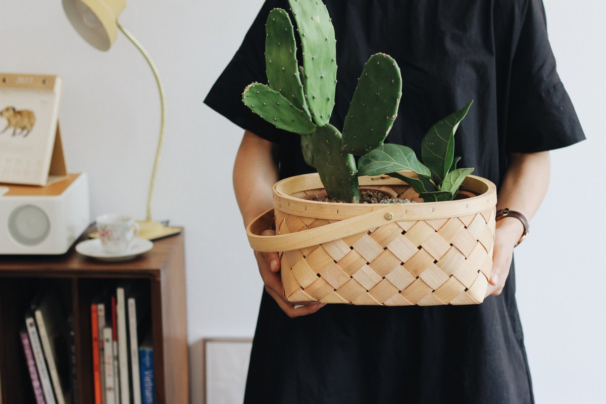 Looking to redecorate but lacking some inspiration? 
Whatever your style or budget may be, we’ve compiled a how-to guide to help turn your house into a home: bit.ly/3qmHhS2