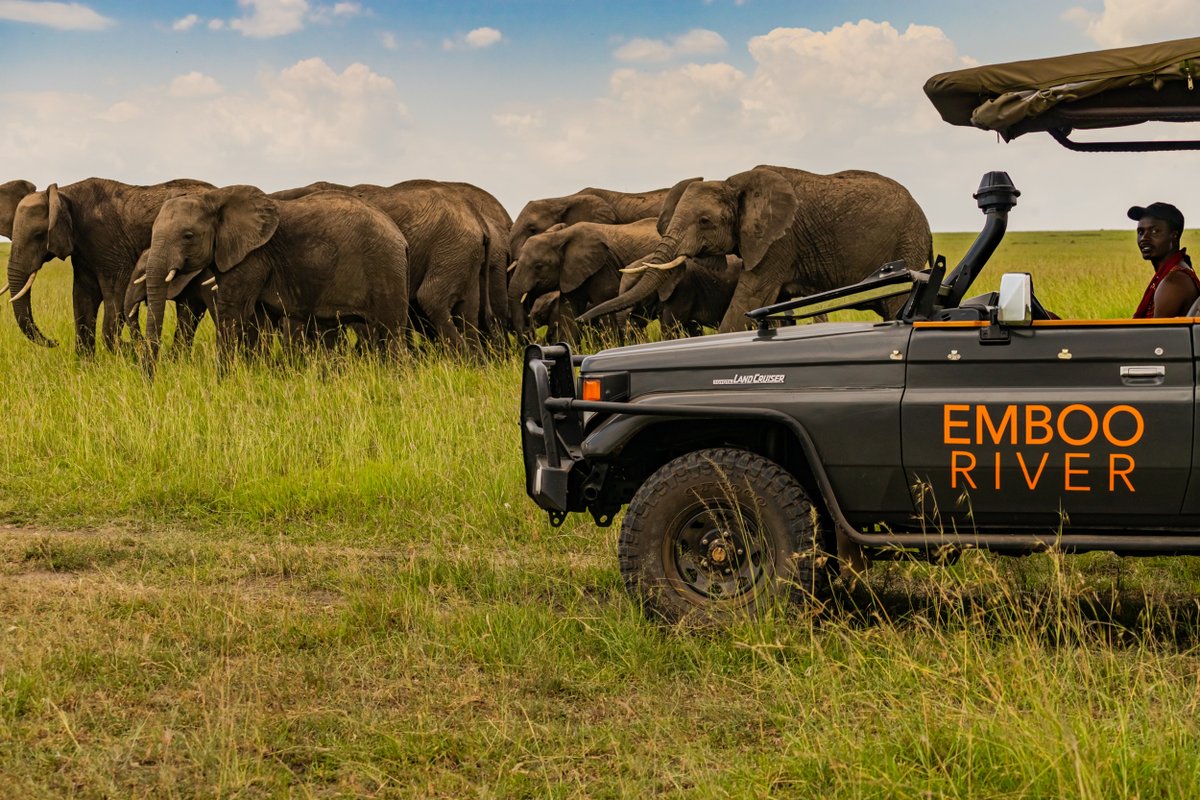 Carbon negative safaris: Emboo River eco-lodge leads the way. 

“Going on a safari in the Maasai Mara and only leaving a positive impact behind is possible." says Valery Joanne Super, Emboo’s co-founder 

#sustainabletravel #kenya 
Read more here - atwconnect.com/carbon-negativ…