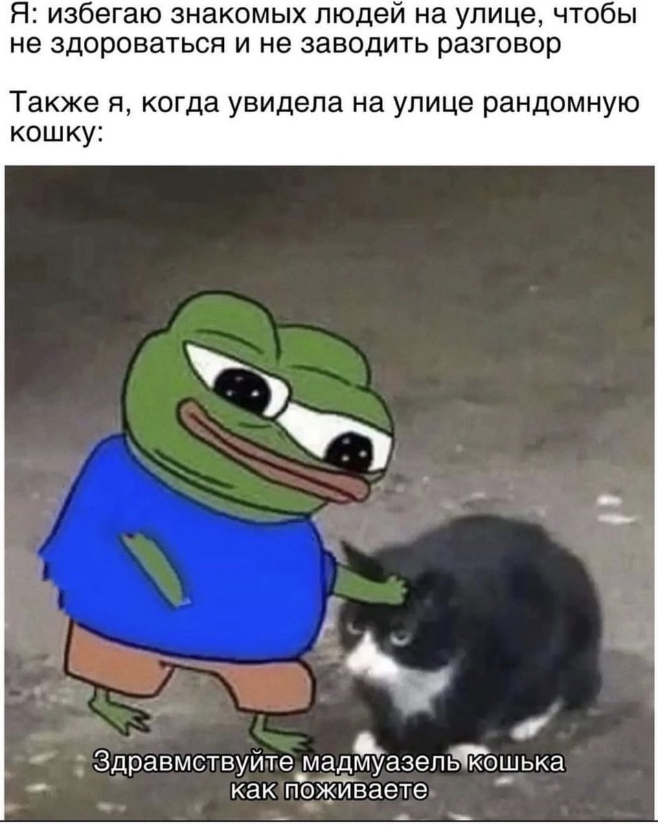 memesforwomen tweet picture