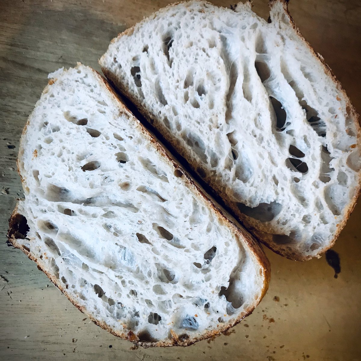 Francesca Fiori tweet media