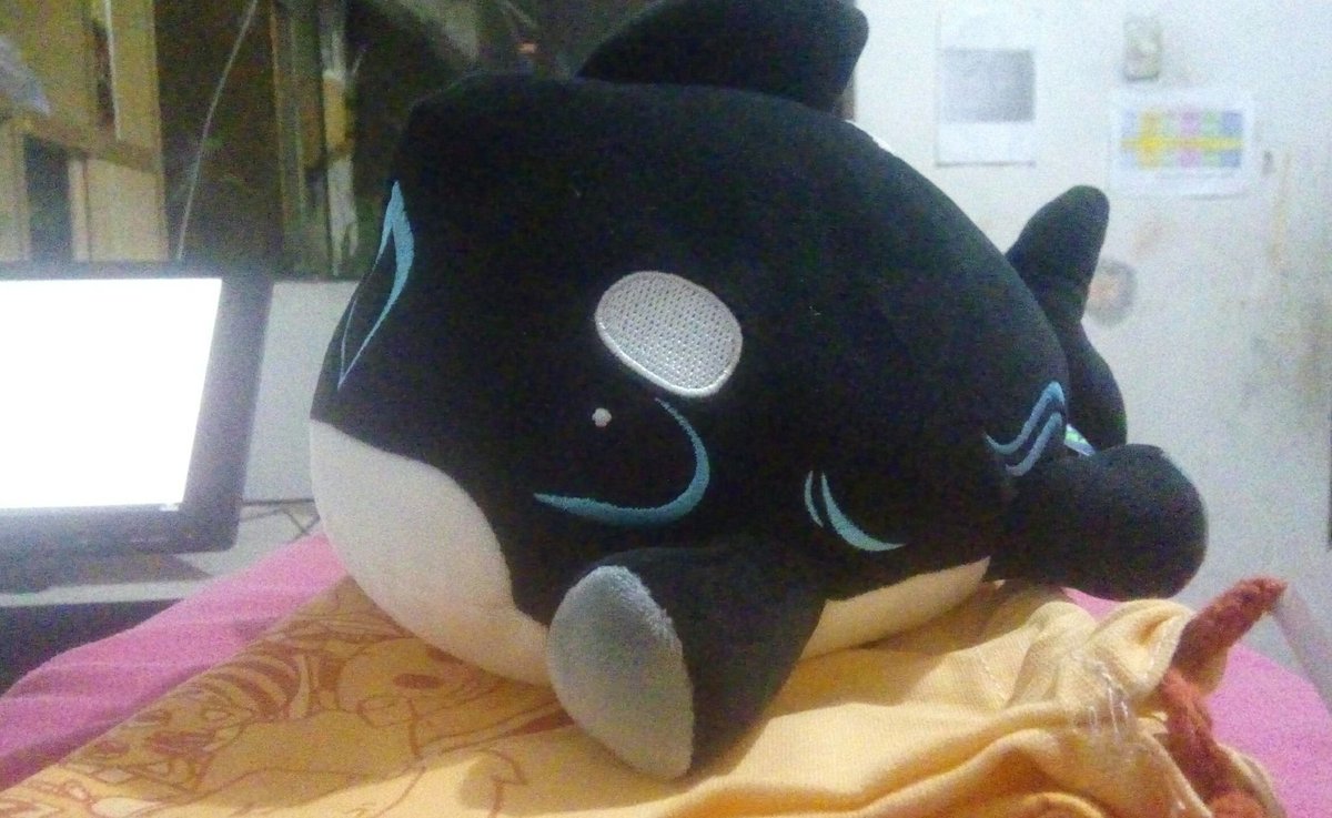 Tami_tosis's tweet photo. Already at home~
Orca pup <3
Special thanks to @STLRTundra 💖💖❤️
-----
#orcapup #plush #makeship #shylily #vtuber #vtubermerch https://t.co/3h56j1v9X7