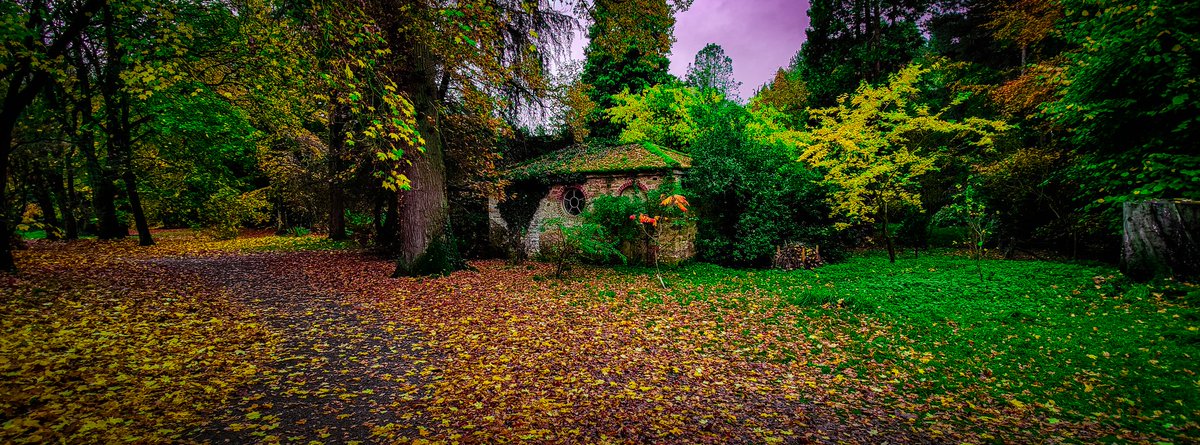 markocoffeecode's tweet photo. Thorp perrow autumn leaf falls is 👌 https://t.co/3XUJqBxJMx