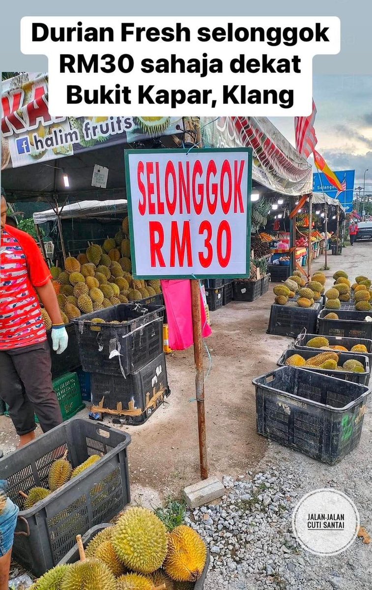 MalaysianFoods's tweet photo. Berita baik Penggemar Durian! ❤️

1 longgok rm 30.. Boleh isi penuh 1 Plastic besar. Buah durian isi cun cun wehh!  Yang Gred padu pun ada juga ikut biji bukan harga timbanggg tau..

Makan kenyang satu KELUARGa 

Lokasi 📍 Kedai buah halim fruits jalan iskandar bukit kapar, klang https://t.co/1BGJc0smQs